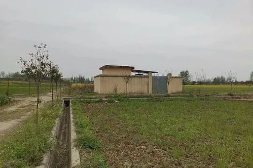 汉王镇一机井停水多日,村主任 村民拒交水费,电缆漏电