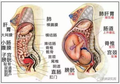 虞书欣翻车成这样,难怪没有c位出道