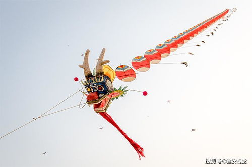 超长版30米长的中国龙风筝,人不用跑,它就能飞,6米斑斓猛虎伴飞