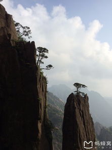 黄山旅游经典两日游 