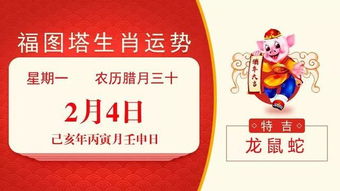 2020年2月4日 十二生肖 今日运势