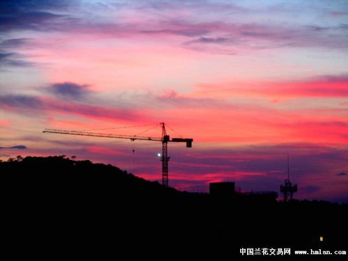 冷空气来前的晚霞 