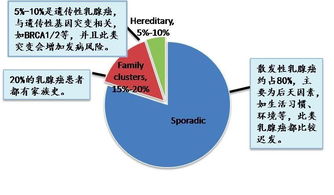 那些罹患乳腺癌的年轻姑娘们,都和这个基因有关