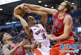 2014 2015nba猛龙队球员名单「猛龙日本籍nba球员名单」