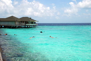 马尔代夫天堂岛游泳池浪漫的海滩体验