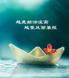 越是颠沛流离越要风雨兼程