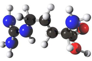 氨酸钾是氨基酸吗,氨基酸。