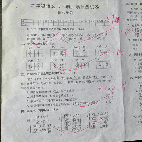 写造句简单;我的造句一年级简单？