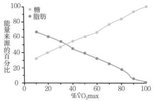 有氧运动必须30分钟以上才燃脂吗