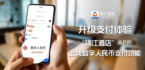 国际支付APP,bilibili港澳台版官网 国际支付APP,bilibili港澳台版官网 应用