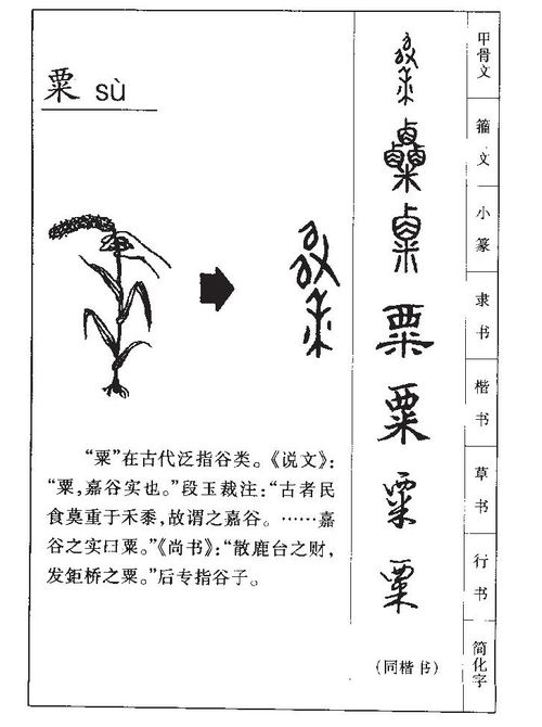 粟的意思 粟字五行属什么 粟字取名的寓意 