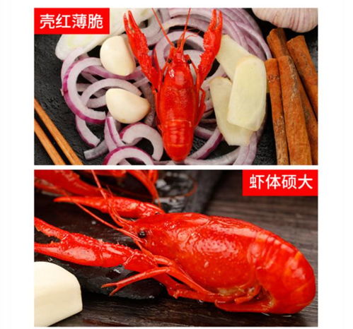 蒜蓉小龙虾的做法*** 烧龙虾蒜泥怎么做？ 