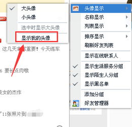 上QQ之后好友列表里第一个应该是我自己的头像,让我摁没了怎么样能再弄出来啊 