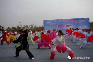 中国功夫扇背向全套演练,中国功夫扇彰显传统武艺的优雅与力量。
