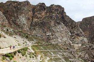 龙羊峡生态旅游度假区(龙羊峡生态景区旅游指南龙羊峡旅游指南)