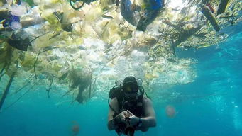 长泰海滨城元龙湾MOUMOU海岛农场将举行净化启东海滩活动