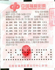 500购彩-走近中国的在线彩票行业