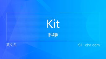 英文名Kit 的意思 性别含义寓意及印象是什么 英文名 911查询 