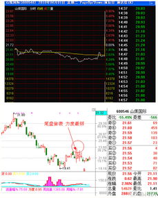 大家都是用什么方法选股票的？股票涨的时候都涨，怎样选择涨的多的股票？