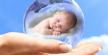 试管婴儿法律：保护生育权益，促进人口发展