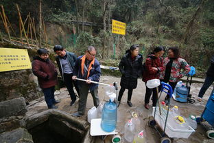 重庆免费井水引市民蜂至 扁担推车齐上阵 