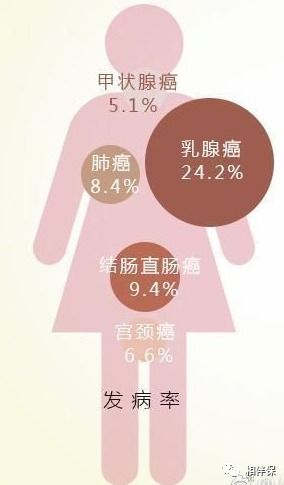 60种特定疾病保险 33种特定疾病 