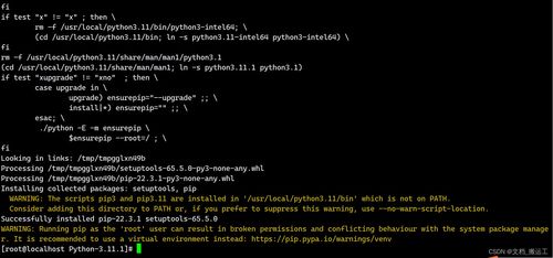 linux查看python安装路径,Linux系统下查看Python安装路径的详细指南