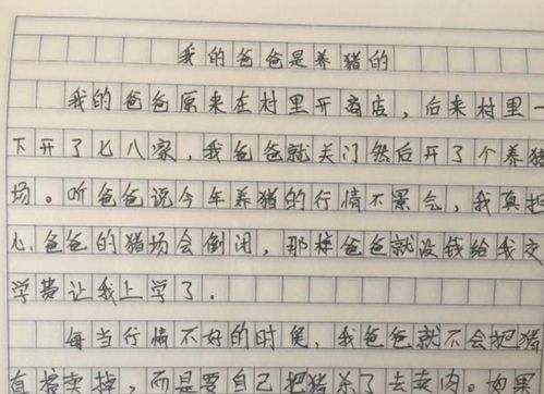 父亲的肩膀作文600字