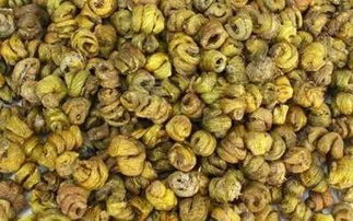 黄草石斛的功效与作用及食用方法,石斛粉的功效与作用及正确吃法是什么