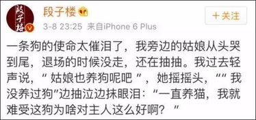 这个段子,养狗的听了沉默,养猫的听了会流泪 