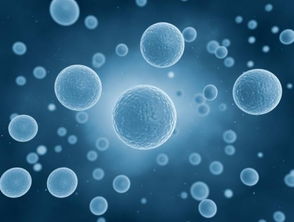 培养细胞的细胞生物学基本概念 