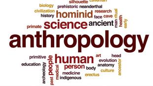 TTC 生物人类学导论 Biological Anthropology An Evolutionary Perspective