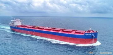 扬子江船业20.8万吨散货船命名交付