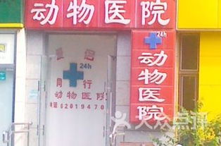北京宠物医院排行 