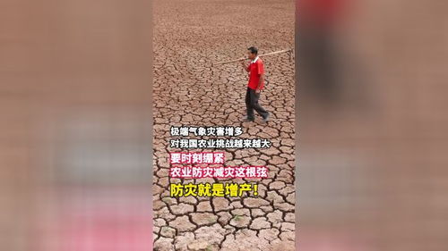 气象灾害造成农业减产如何防 