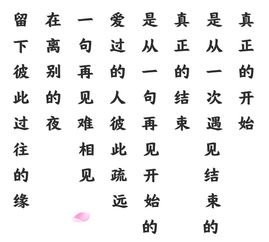 是什么意思 