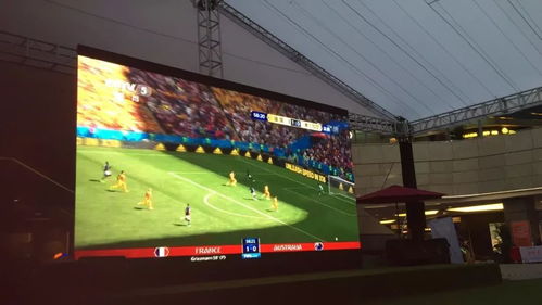 1800寸超大屏幕直播 啤酒节免费入场 世界杯狂欢夜火爆来袭 