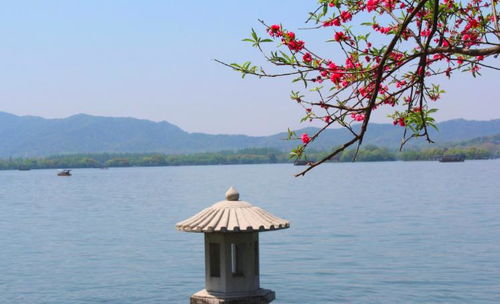关于杭州西湖的美景诗句ppt