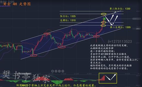 kas币种前景如何分析,山寨币的介绍 kas币种前景如何分析,山寨币的介绍 融资