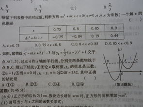 选择题：五分之二和一百分之四十这两个分数的（）相同。A大小。B分数单位。C分数意义