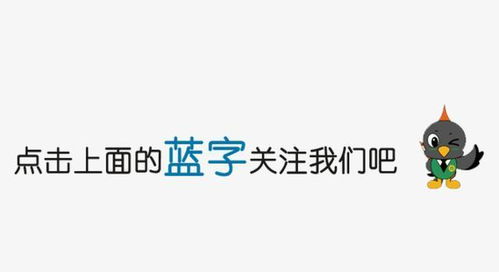 井柏然拒绝父母认亲惹争议 出生28天被抛弃,全靠奶奶捡破烂养大