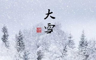 雪兆丰年是什么意思