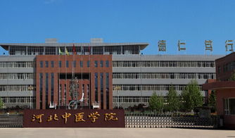 成都中医学院是一本还是二本,成都中医学院：一流学府，传承千年中医文化
