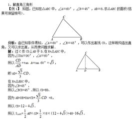 解直角三角形解的是什么