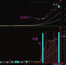 总是涨停后才跳出来，高手帮忙改成提前预知黑马涨停的公式