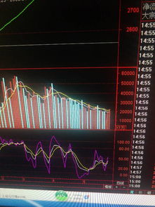 上证成交量后面数字代表的是钱数还是手数