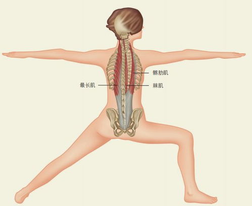 如何缓解因久坐导致的腰背部肌肉酸痛 秘诀竟然是...