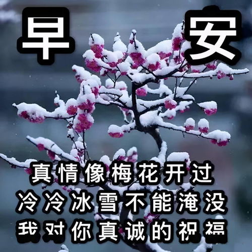 冬天祝福短信(冬天的祝福语简短)