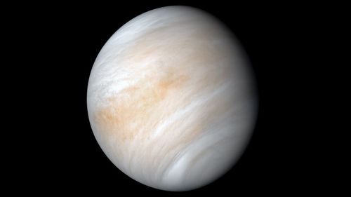 流年行星 金星,八大行星之金星星座代表什么意思？