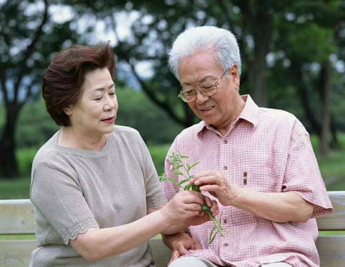 带父母出游有 代沟 怎么破 陪伴与沟通才是真秘笈